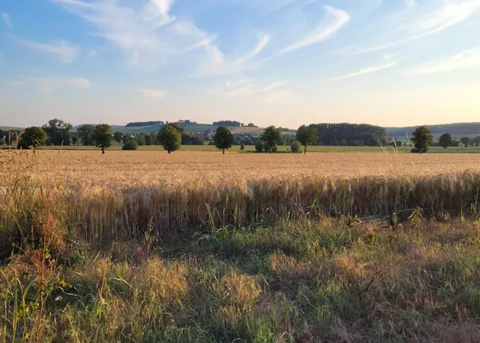 Hauszeit